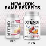 XTEND BCAA Powder - Knockout Fruit Punch