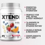 XTEND BCAA Powder - Knockout Fruit Punch