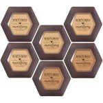 Burt’s Bees Natural Mattifying Powder Foundation, Bamboo
