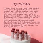 Mineral Fusion 3-in-1 Organic Color Stick - Rosette