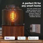 Roku Indoor Smart Plug - WiFi Control & Scheduling