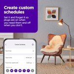 Roku Indoor Smart Plug - WiFi Control & Scheduling