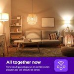 Roku Indoor Smart Plug - WiFi Control & Scheduling