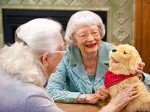 Lifelike Companion Pet for Seniors - Golden Pup