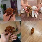 Realistic AI Robot Dog with Walking and Barking