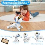Interactive Robot Dog Toy for Kids 8-12