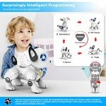 Interactive Programmable Robot Dog Toy for Kids