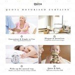 Quoya QL500 Smart Curtains with Alexa Compatibility