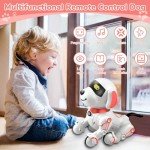 Remote Control Robot Dog Toy for Kids