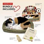 Perfect Petzzz - Original Petzzz Calico Cat, Realistic Lifelike Stuffed Interactive Pet Toy, Companion Dog with 100% Handcrafted Synthetic Fur