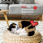 Perfect Petzzz - Original Petzzz Calico Cat, Realistic Lifelike Stuffed Interactive Pet Toy, Companion Dog with 100% Handcrafted Synthetic Fur