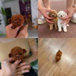 Lunafex Robot Dog, Realistic Robot Puppy, Nicoo - My Realistic Robot Puppy, Ai Robotic Dog, Robot Puppy That Acts Like A Real Puppy, 2025 New Robot Dog Robot Puppy for Adults, Walking, Barking (Gold)