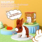 Bilinott Bunny Toys for Kids, Realistic Rabbit Toys with Jumping Action, Wiggling Ears, Twitching Mouth and Nose, Ideal Stuffed Rabbit Gift for 3+ Kids for Easter, Birthdays, Halloween, and Christmas