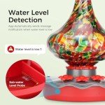 BBPECO Glass Smart Hummingbird Feeder with Camera Solar Powered - AI Identify & Water Detection, Instant Notification, 2K HD Vedio, Leakproof & Ant Moat, Work with Alexa & Google Assistant