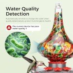 BBPECO Glass Smart Hummingbird Feeder with Camera Solar Powered - AI Identify & Water Detection, Instant Notification, 2K HD Vedio, Leakproof & Ant Moat, Work with Alexa & Google Assistant