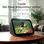 BBPECO Glass Smart Hummingbird Feeder with Camera Solar Powered - AI Identify & Water Detection, Instant Notification, 2K HD Vedio, Leakproof & Ant Moat, Work with Alexa & Google Assistant