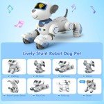 VATOS Remote Control Robot Dog Toy for Kids - Interactive Touch & Follow 17 Functions Robot Dog Pet, Programmable Smart Walking Puppy Intelligent Dancing Dog Robot Toys for Girls 3-12 Gifts