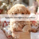 2025 New Realistic Robot Puppy,My Realistic Robot Puppy for Adults,Ai Robotic Dog,Walking, Barking,Tail Wagging (D1-1PCS)