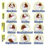 WEofferwhatYOUwant Practice Training Teddy – Interactive Plush Labradoodle Toy Dog That Obeys 12 Voice Commands, Walks, Barks, Sings & Dances