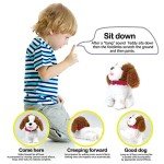 WEofferwhatYOUwant Practice Training Teddy – Interactive Plush Labradoodle Toy Dog That Obeys 12 Voice Commands, Walks, Barks, Sings & Dances
