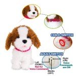 WEofferwhatYOUwant Practice Training Teddy – Interactive Plush Labradoodle Toy Dog That Obeys 12 Voice Commands, Walks, Barks, Sings & Dances