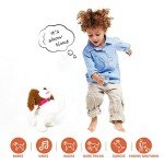 WEofferwhatYOUwant Practice Training Teddy – Interactive Plush Labradoodle Toy Dog That Obeys 12 Voice Commands, Walks, Barks, Sings & Dances