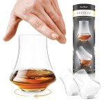 Revolve Spinning Spirits Tasting Glasses - Set of 2