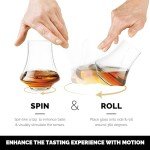 Revolve Spinning Spirits Tasting Glasses - Set of 2