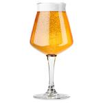 Rastal Nucleated Teku 3.0 Beer Glasses – 14.2 oz