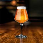 Rastal Nucleated Teku 3.0 Beer Glasses – 14.2 oz