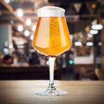 Rastal Nucleated Teku 3.0 Beer Glasses – 14.2 oz