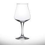 Rastal Nucleated Teku 3.0 Beer Glasses – 14.2 oz