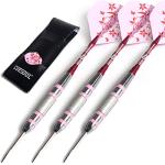 CUESOUL 22g Steel Tip Darts with Case - Set