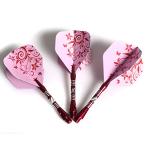 CUESOUL 22g Steel Tip Darts with Case - Set
