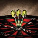 Viper Spinning Bee Soft Tip Darts with Case