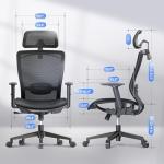 High Back Mesh Ergonomic Office Chair with Wheels