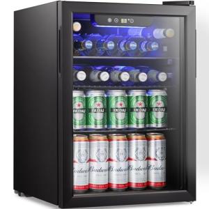 Mini Fridge for Beverages and Wine – 100 Can