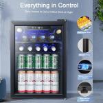 Mini Fridge for Beverages and Wine – 100 Can