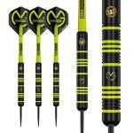 Michael Van Gerwen Brass Darts Set with Flights