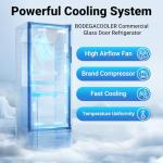 BODEGACOOLER 11.5 Cu.Ft Glass Door Beverage Cooler