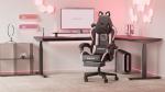 Cat Ear Gaming Chair with Massage Support