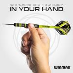 MvG vs Wizard Twin Set 22g Steel Tip Darts