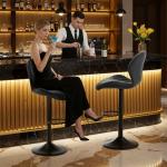 Set of 2 Modern Swivel Bar Stools