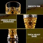 Paysky 17 oz Craft Beer Glasses Set of 2