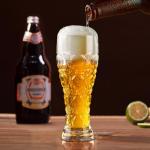 Paysky 17 oz Craft Beer Glasses Set of 2