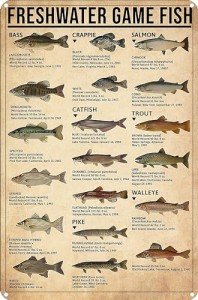 Vintage Fishing Gamefish Tin Sign for Man Cave