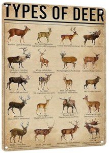 Rustic Deer Metal Sign for Man Cave Decor