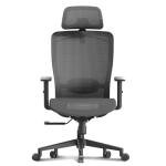 Stylish High Back Ergonomic Office Chair