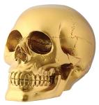 Gold Skull Skeleton Collectible Decor Figurine