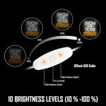 Titos Neon Sign for Your Man Cave